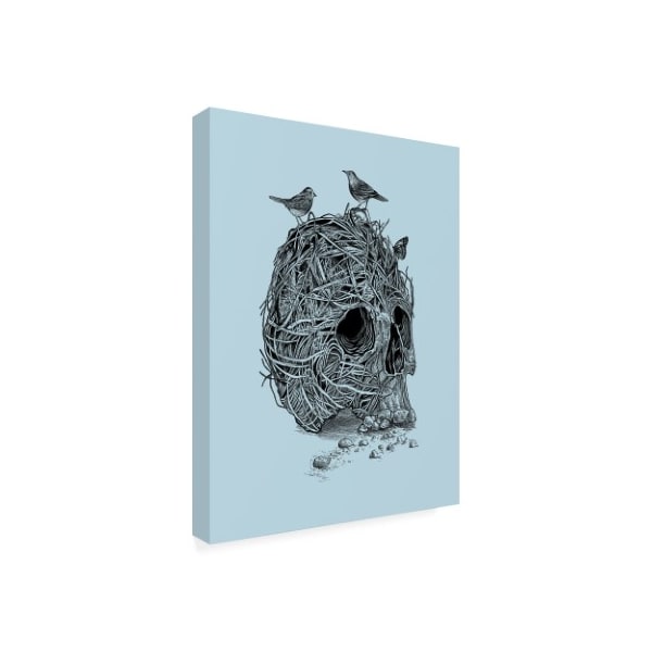 Rachel Caldwell 'Skull Nest Binds' Canvas Art,24x32